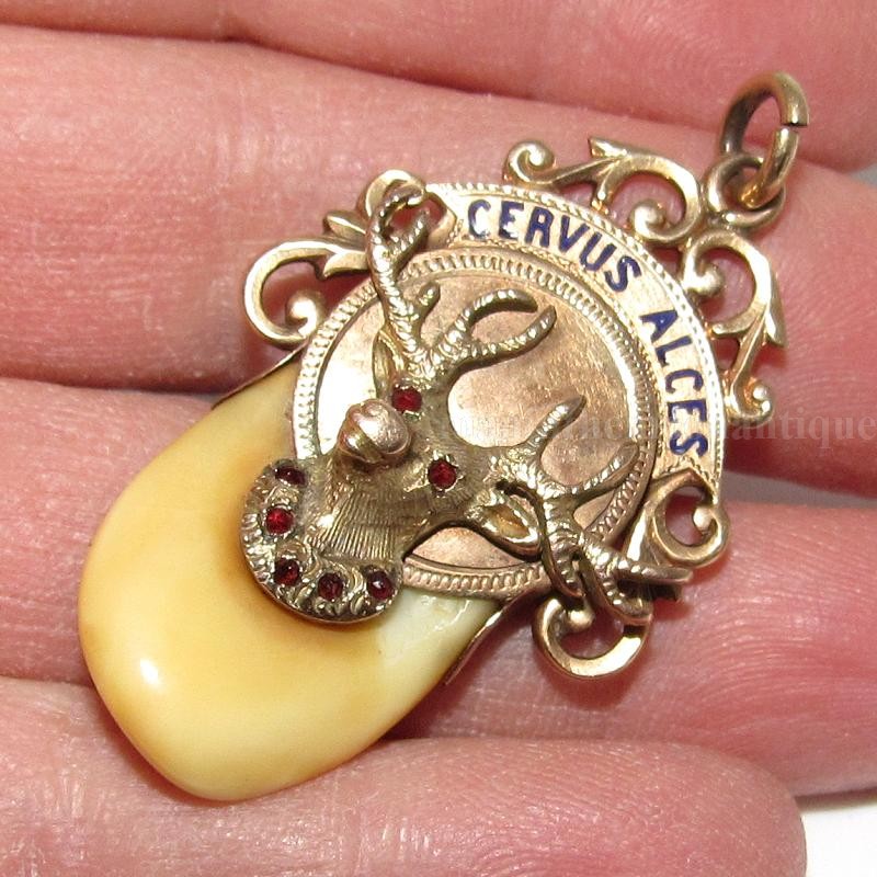 Click here to see the details of this item